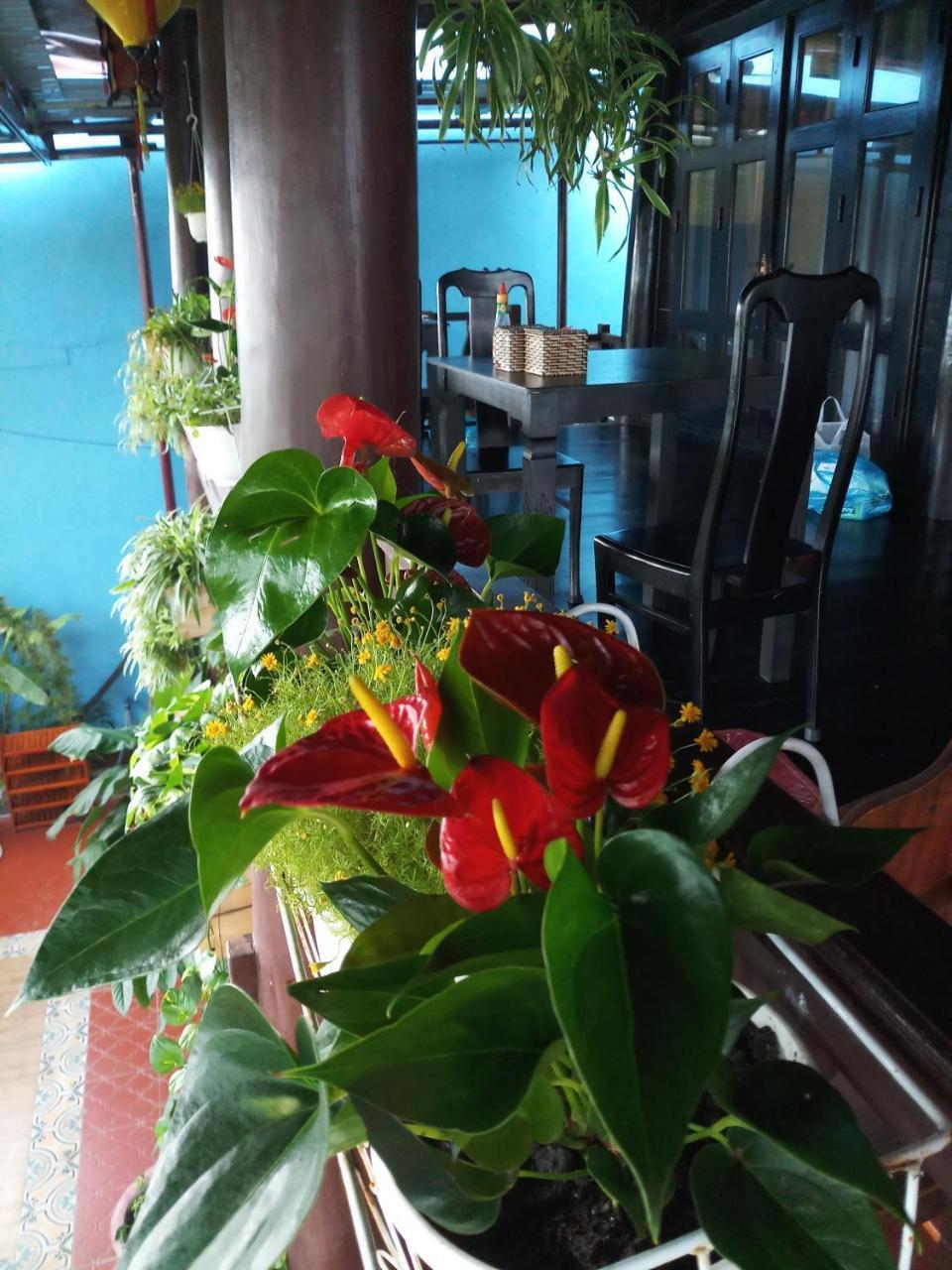 An Bang Stilt House Villa Hoi An Luaran gambar